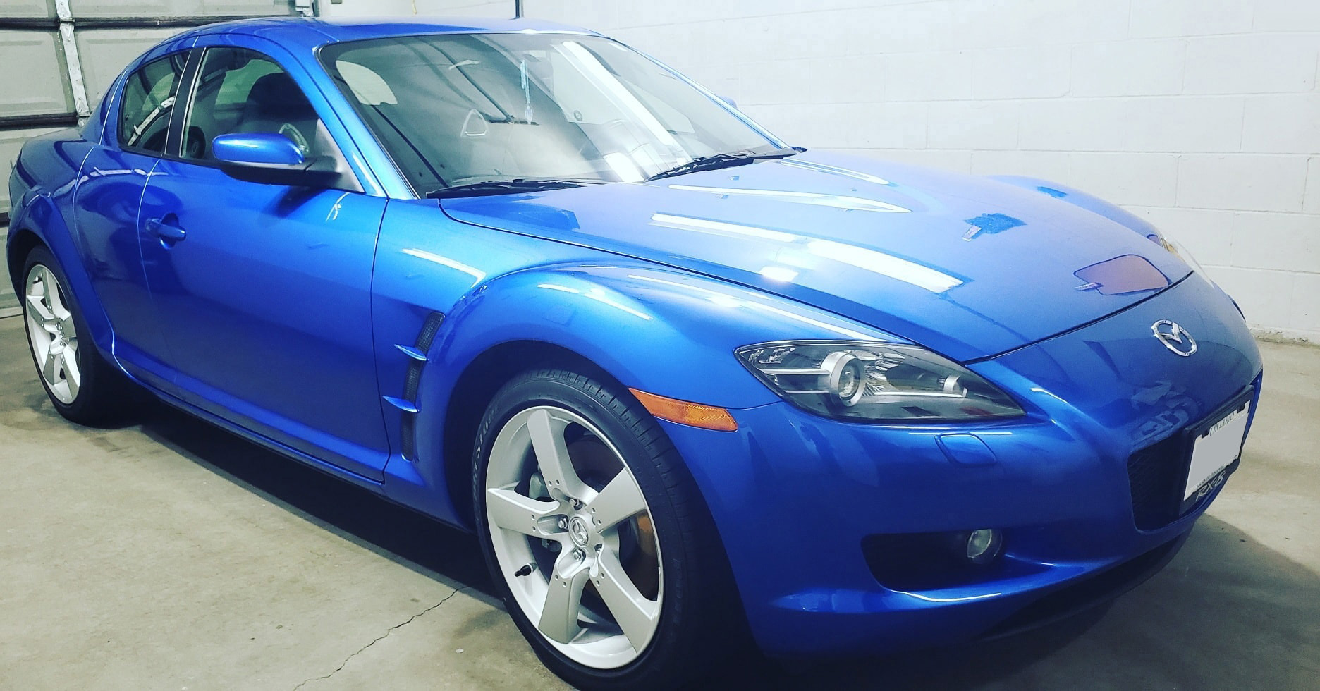 Photo Gallery | Pro Touch Auto Detailing