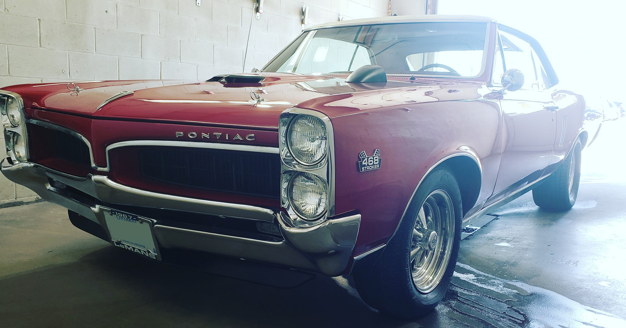 Photo Gallery | Pro Touch Auto Detailing