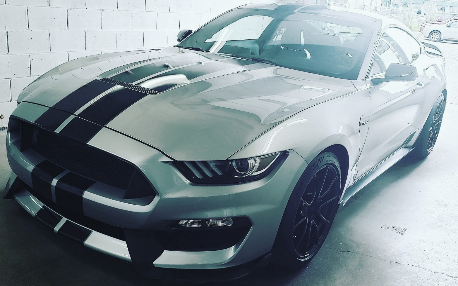 Photo Gallery | Pro Touch Auto Detailing