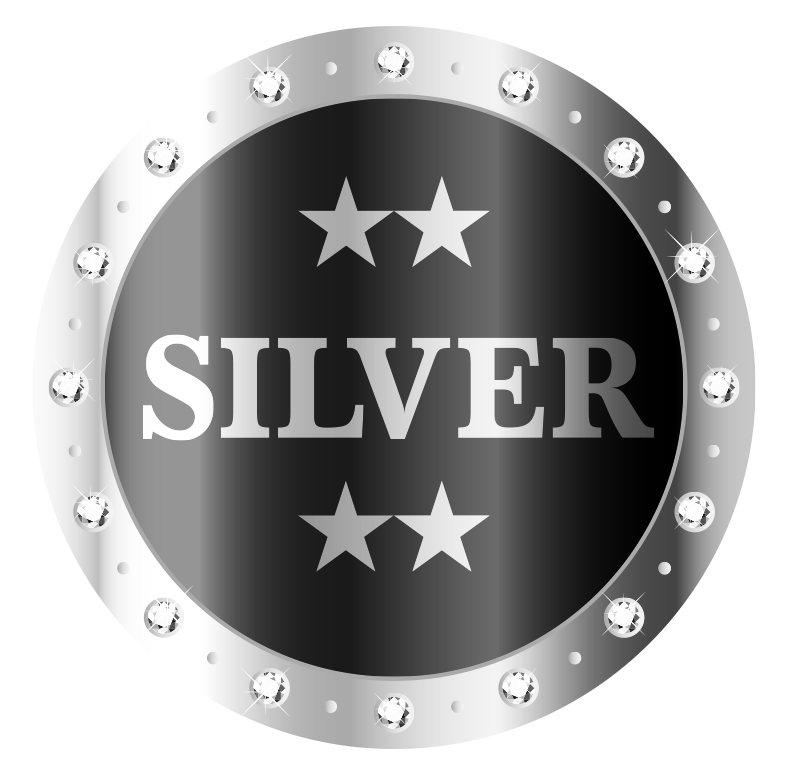 silver ceramic coating package